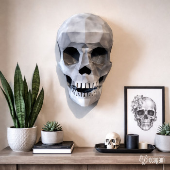 Human skull Human skull